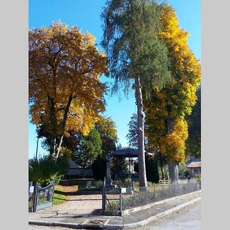 Maison indépend. 6 personnes à 10 mn de Gérardmer Granges-sur-Vologne Exterior foto
